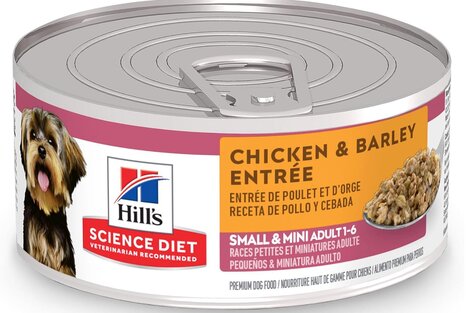 Best canned dog food for french bulldogs
