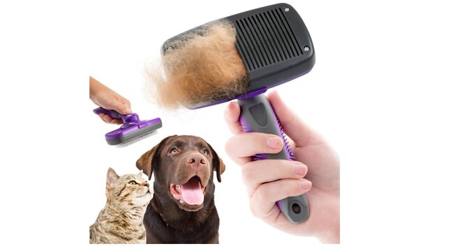Best brush for a French bulldog