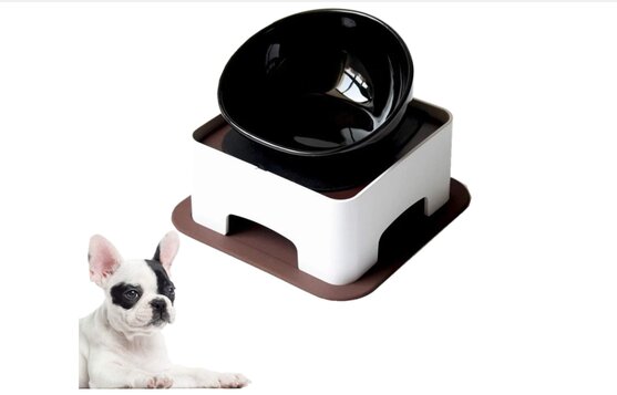 best food bowl for French bulldog